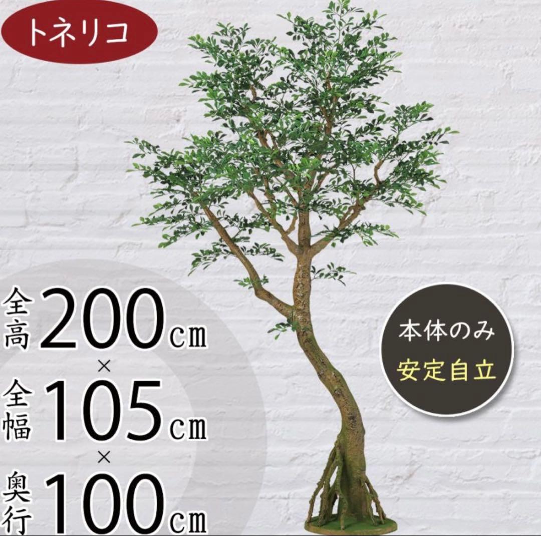 光触媒　人工観葉植物　ウォールグリーン　フェイクグリーン　トネリココアッド