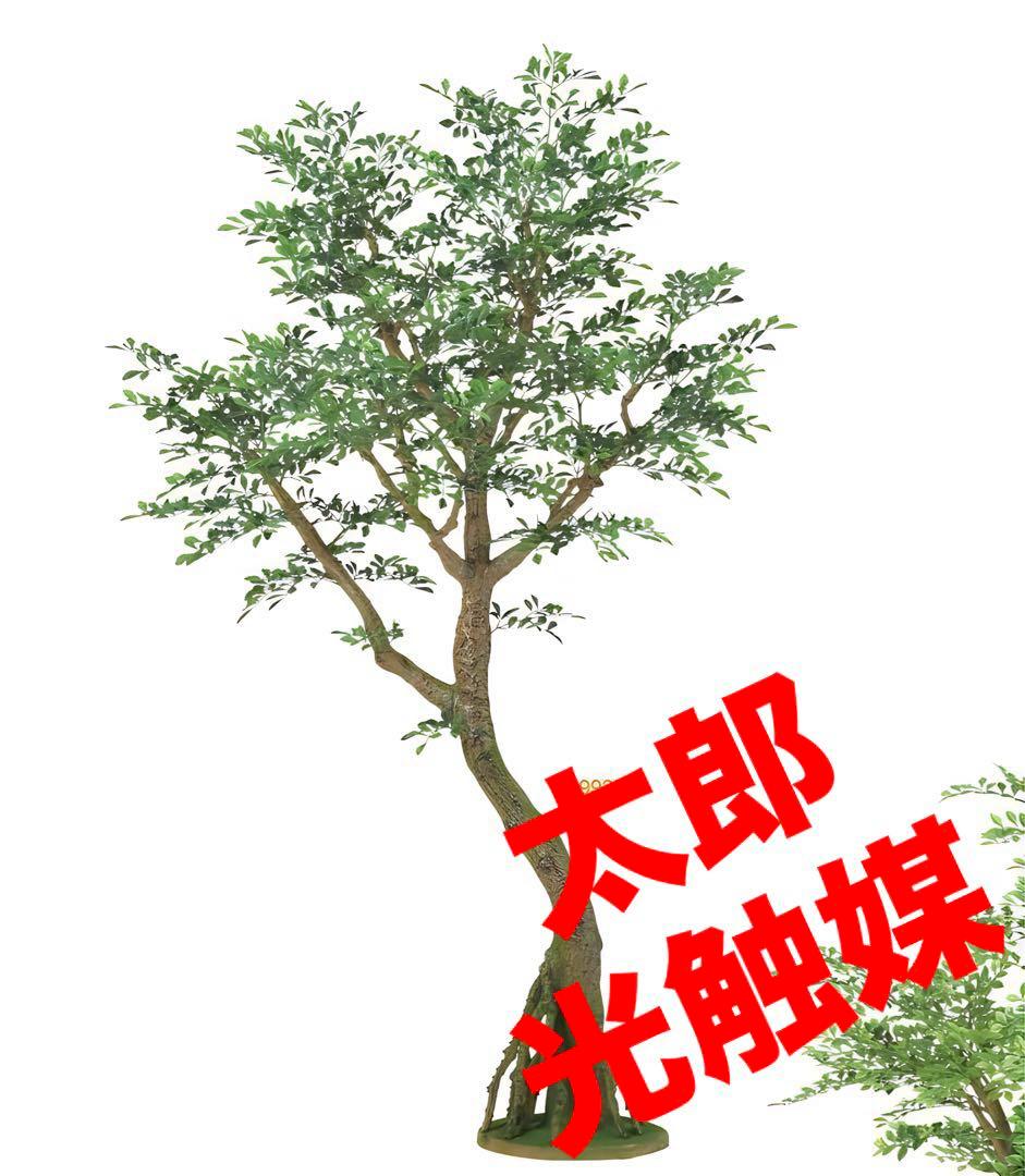 光触媒　人工観葉植物　ウォールグリーン　フェイクグリーン　トネリココアッド