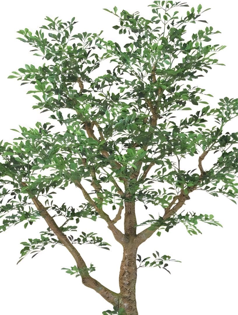 光触媒　人工観葉植物　ウォールグリーン　フェイクグリーン　トネリココアッド