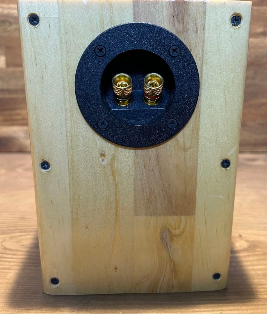 フルレンジユニット　MAOP5 Gen1 バックロードホーン　スピーカー