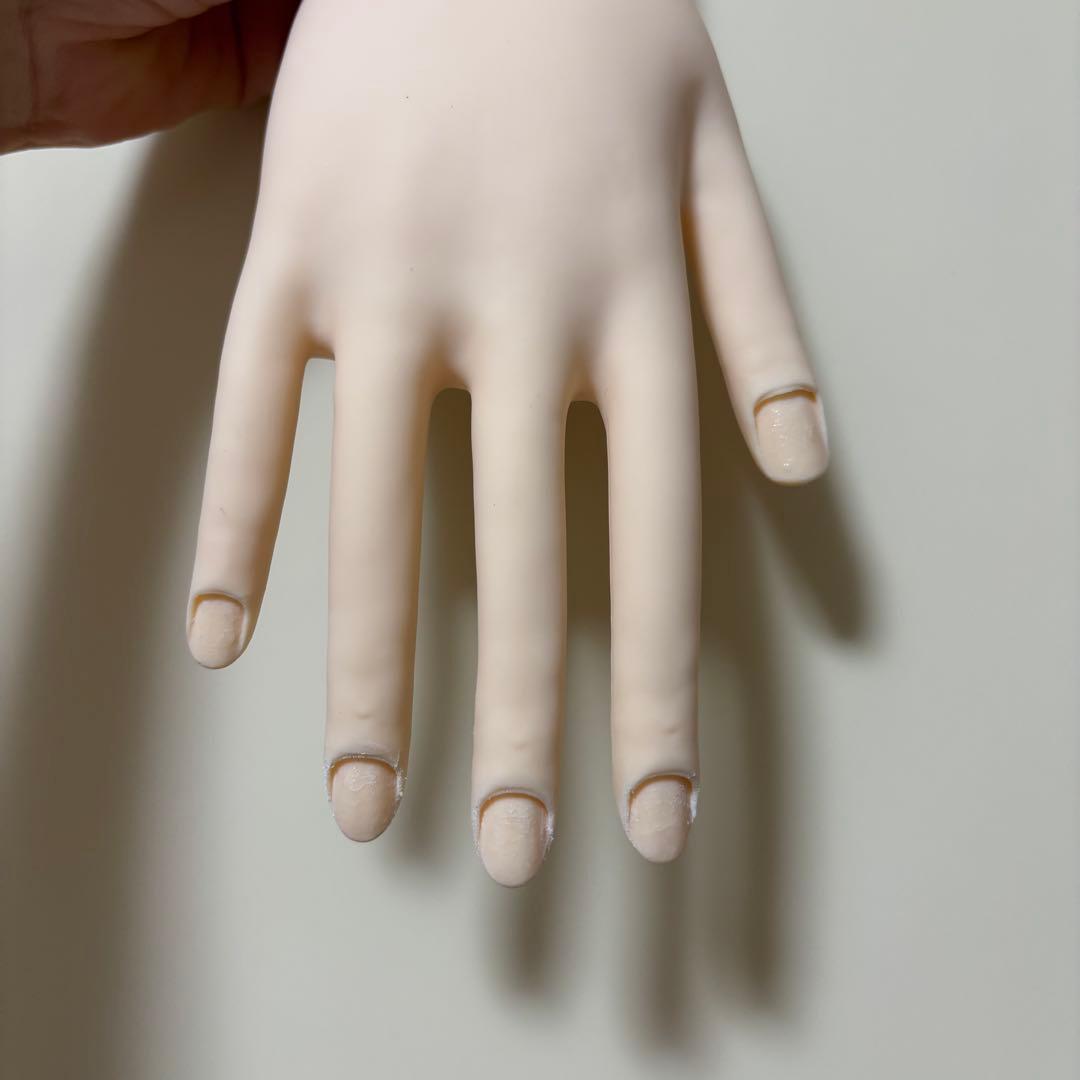 STモデルハンド　JNEC認定モデルハンド　検定