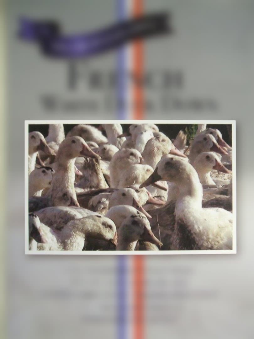 残り２点お買い得品‼️新品＊ロイヤル＊フランス９３％＊増量１，３キロ＊羽毛布団ＳＰ