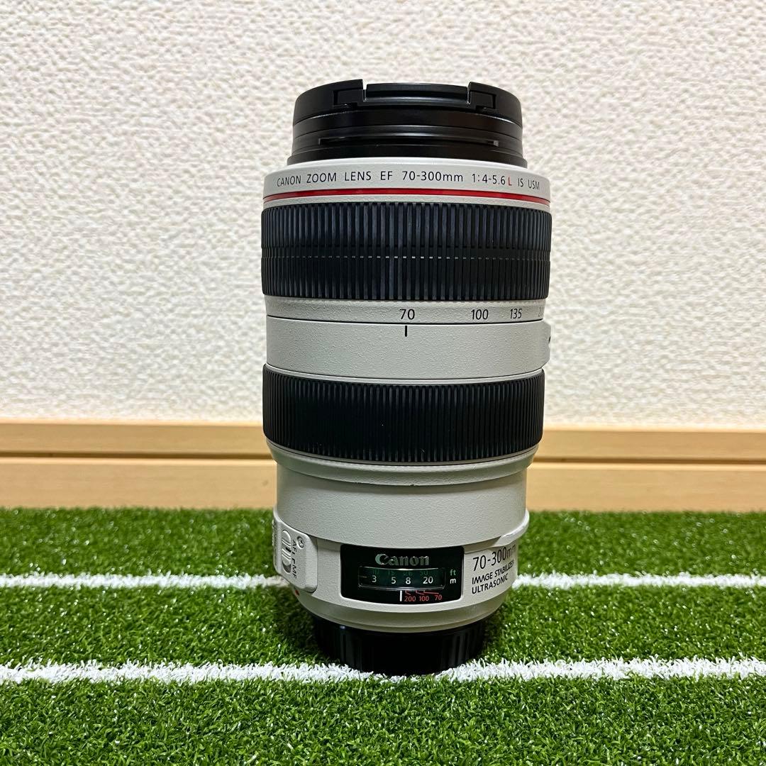 Canon EF 70-300mm F4-5.6L IS USM 動作品