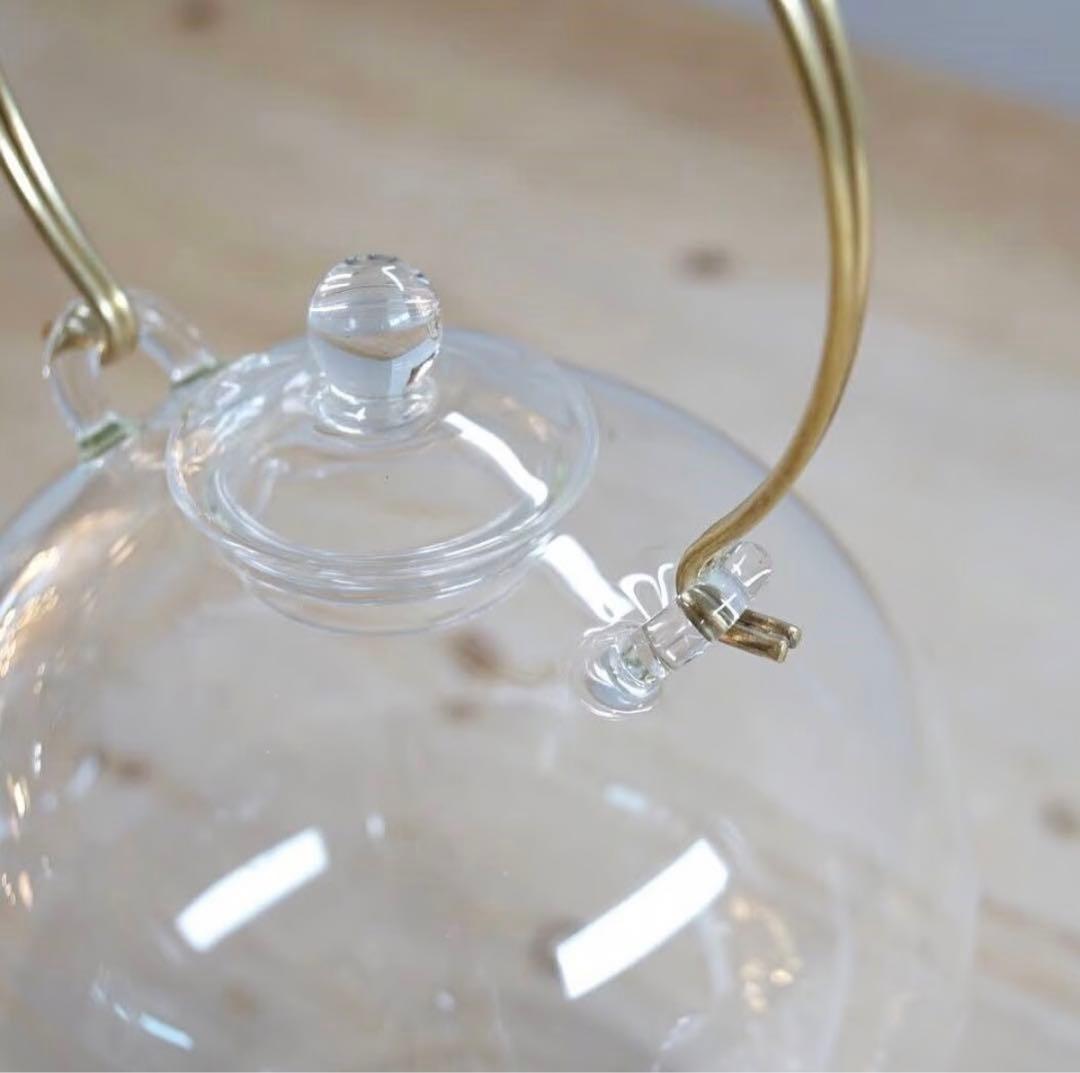 ⭐︎新品未使用⭐︎日ノ出化学製作所ガラスポット　　　　　　　Lサイズ☆