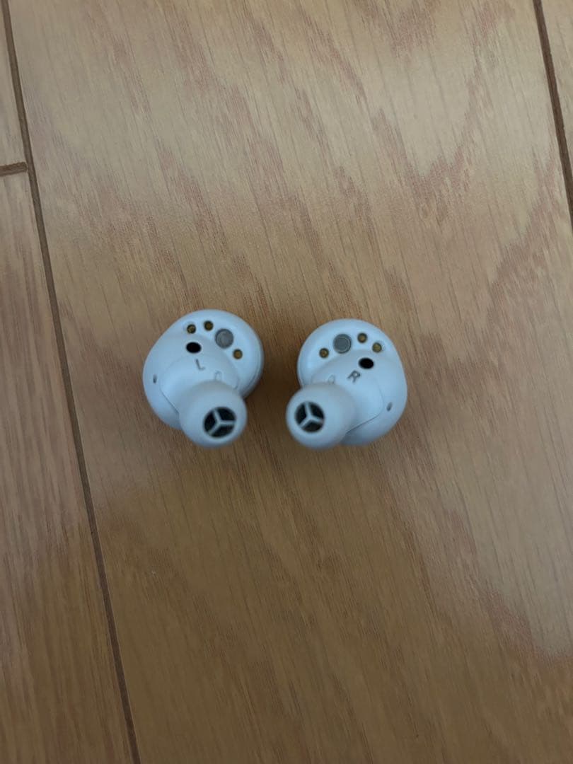 Technics EAH-AZ80 ワイヤレスイヤホン 2024/11購入・美品