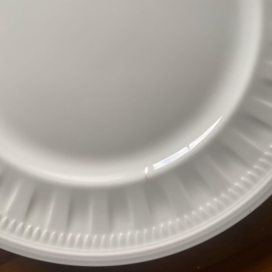  コロシアム27cm 5枚セット