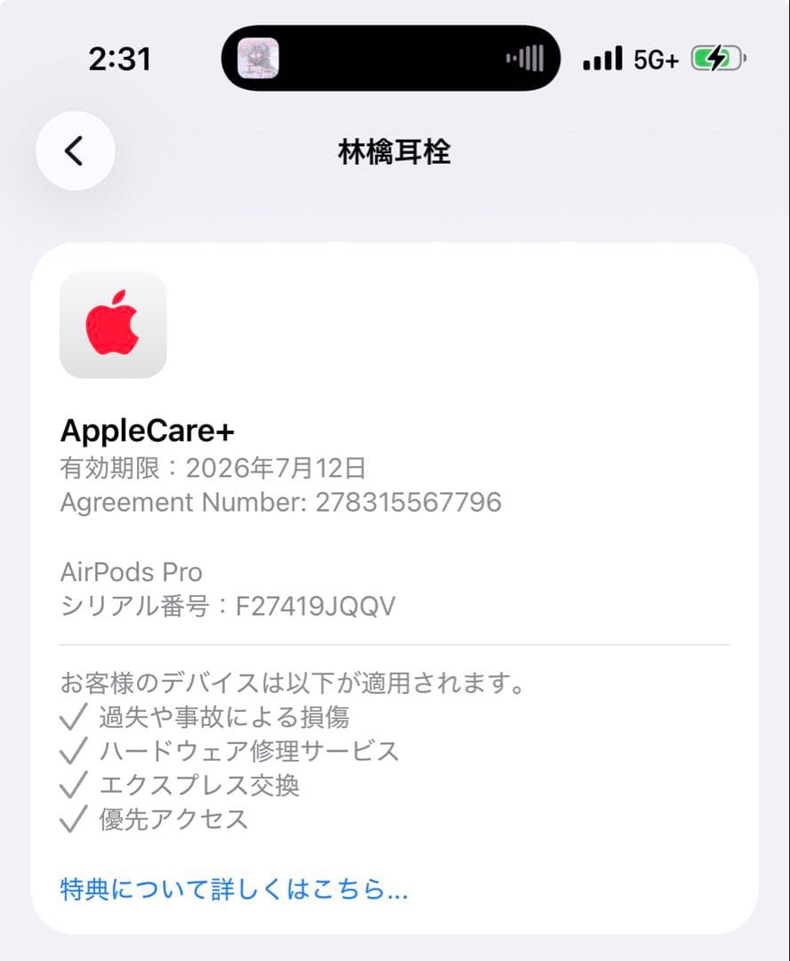 AirPods Pro 2 Type-C版 USBC AppleCare付き