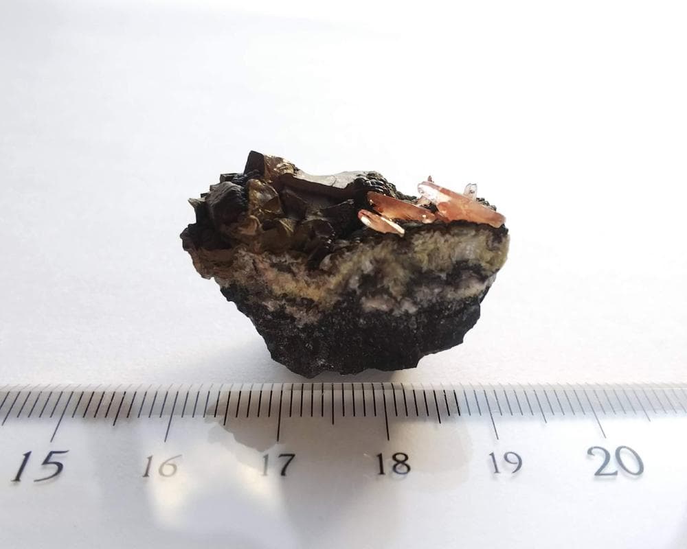 337 ロードクロサイト インカローズ 犬牙状 結晶 母岩付き