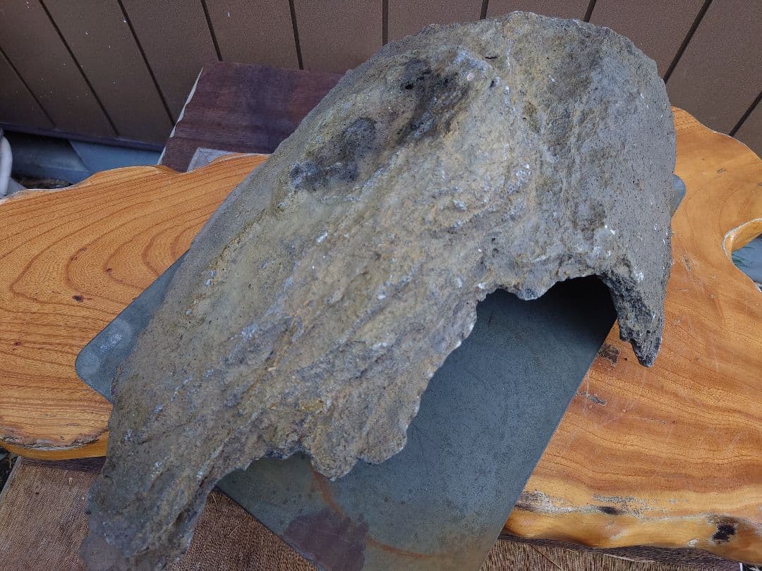 盆栽　鉢　鞍馬石？　平石　幅55.5cm