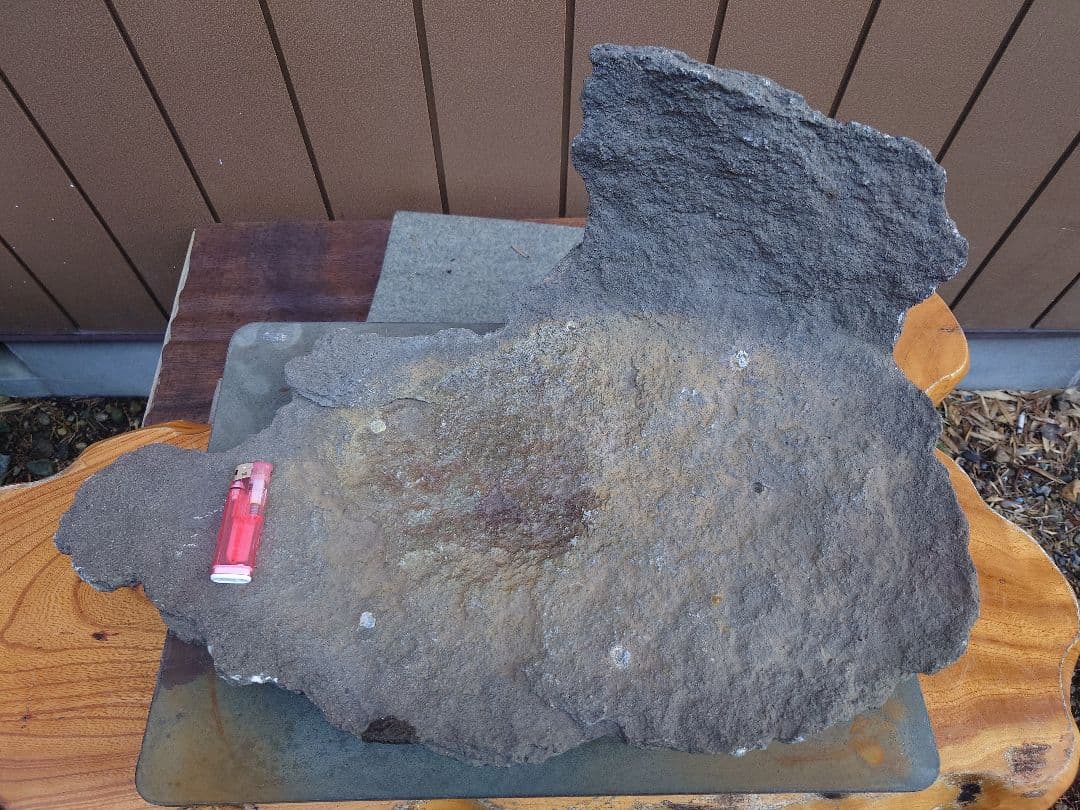 盆栽　鉢　鞍馬石？　平石　幅55.5cm