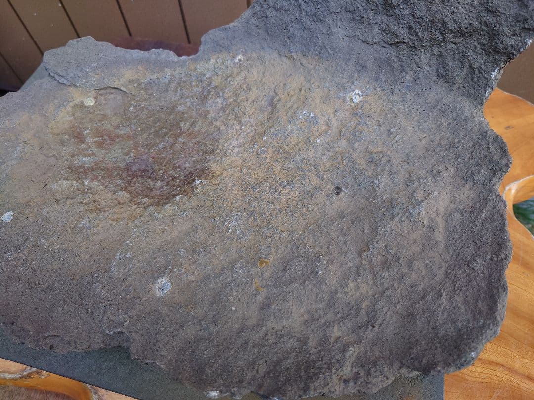 盆栽　鉢　鞍馬石？　平石　幅55.5cm