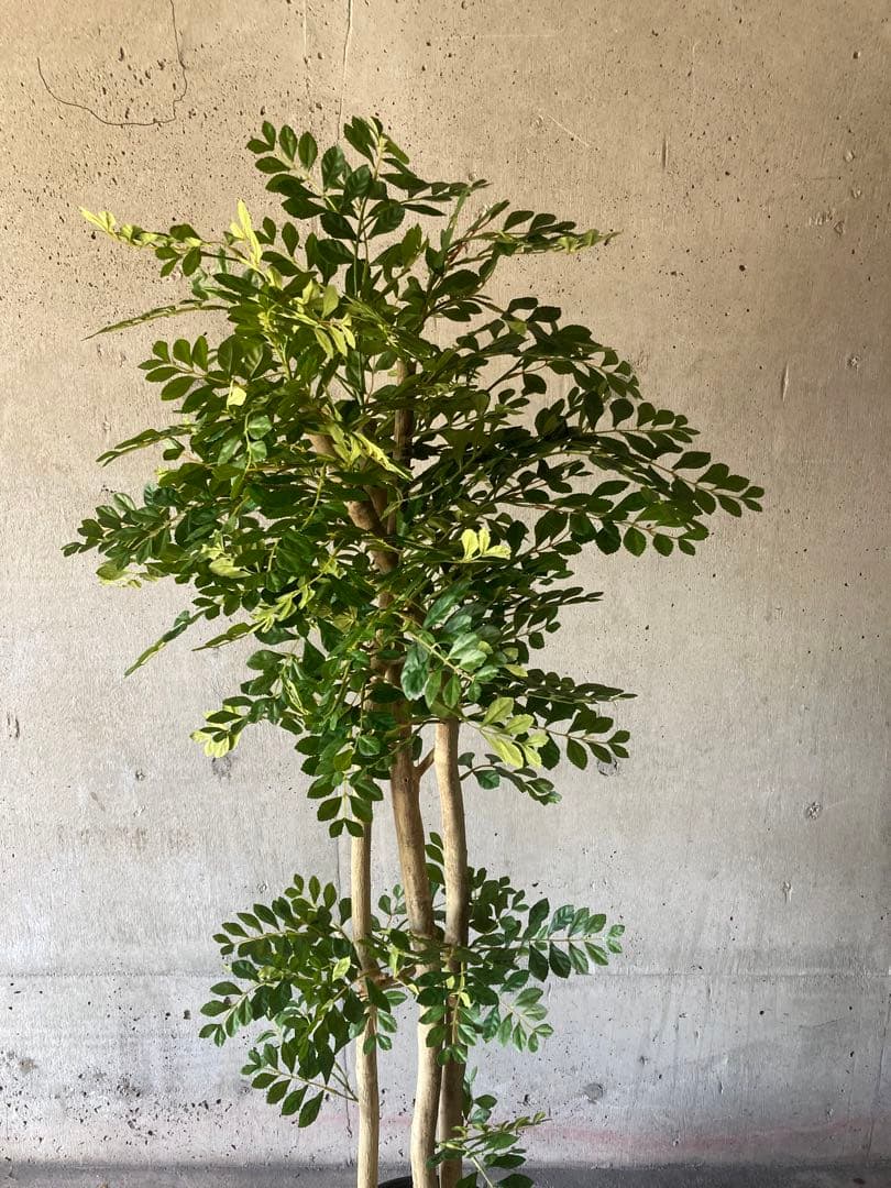 光触媒　人工観葉植物　ウォールグリーン　フェイクグリーン　トネリコ16666