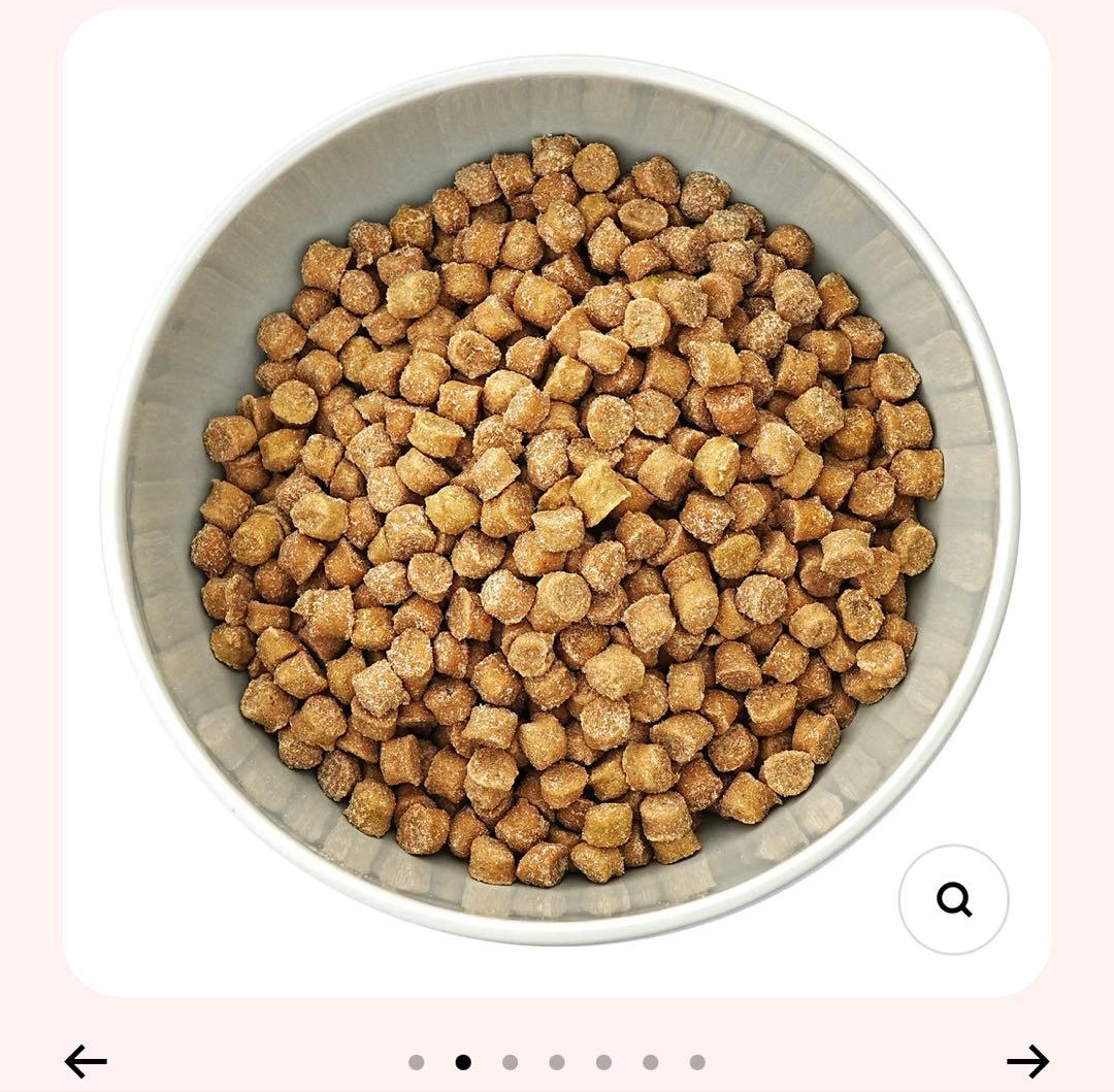 Vet’Labo V-Base ヤクルト ベッツラボ ブイベース