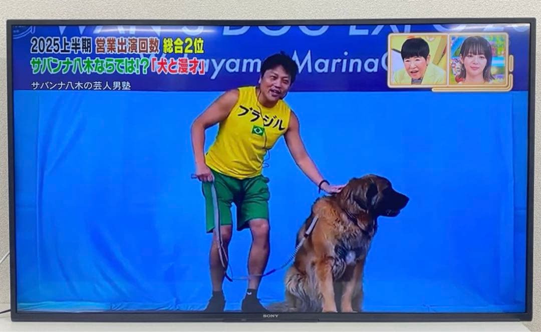 SONY ソニー KJ-50X80J 4K液晶テレビ 2021年製