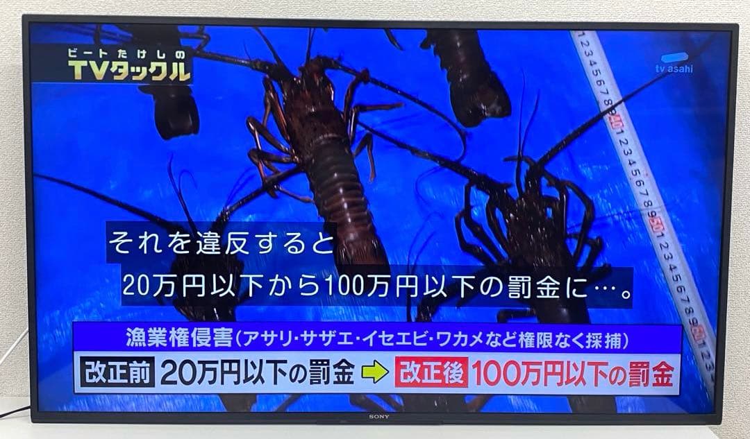 SONY ソニー KJ-50X80J 4K液晶テレビ 2021年製