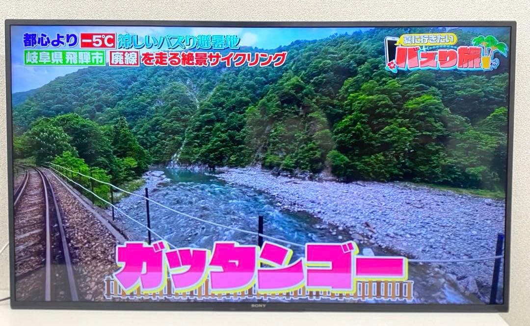 SONY ソニー KJ-50X80J 4K液晶テレビ 2021年製