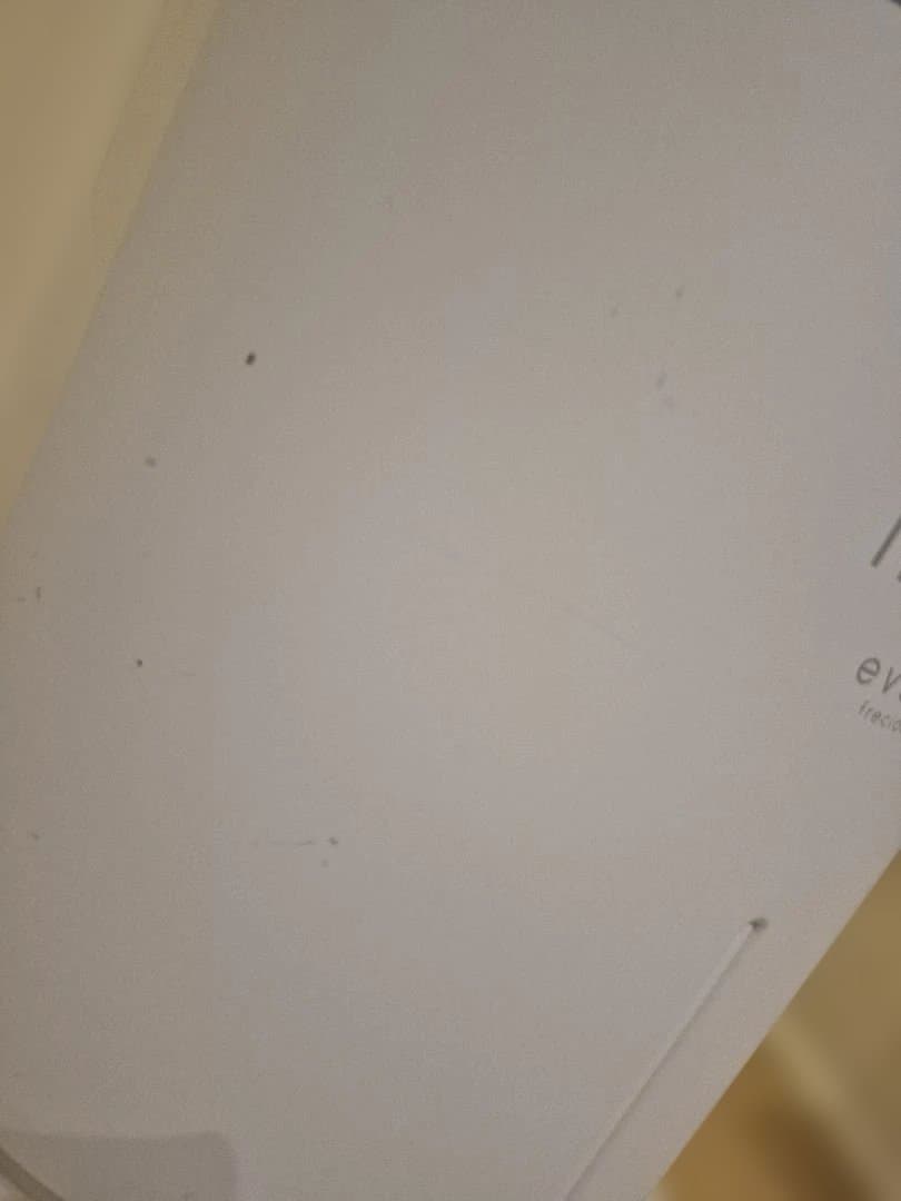 エブリーフレシャスミニ　カートリッジ2個付き