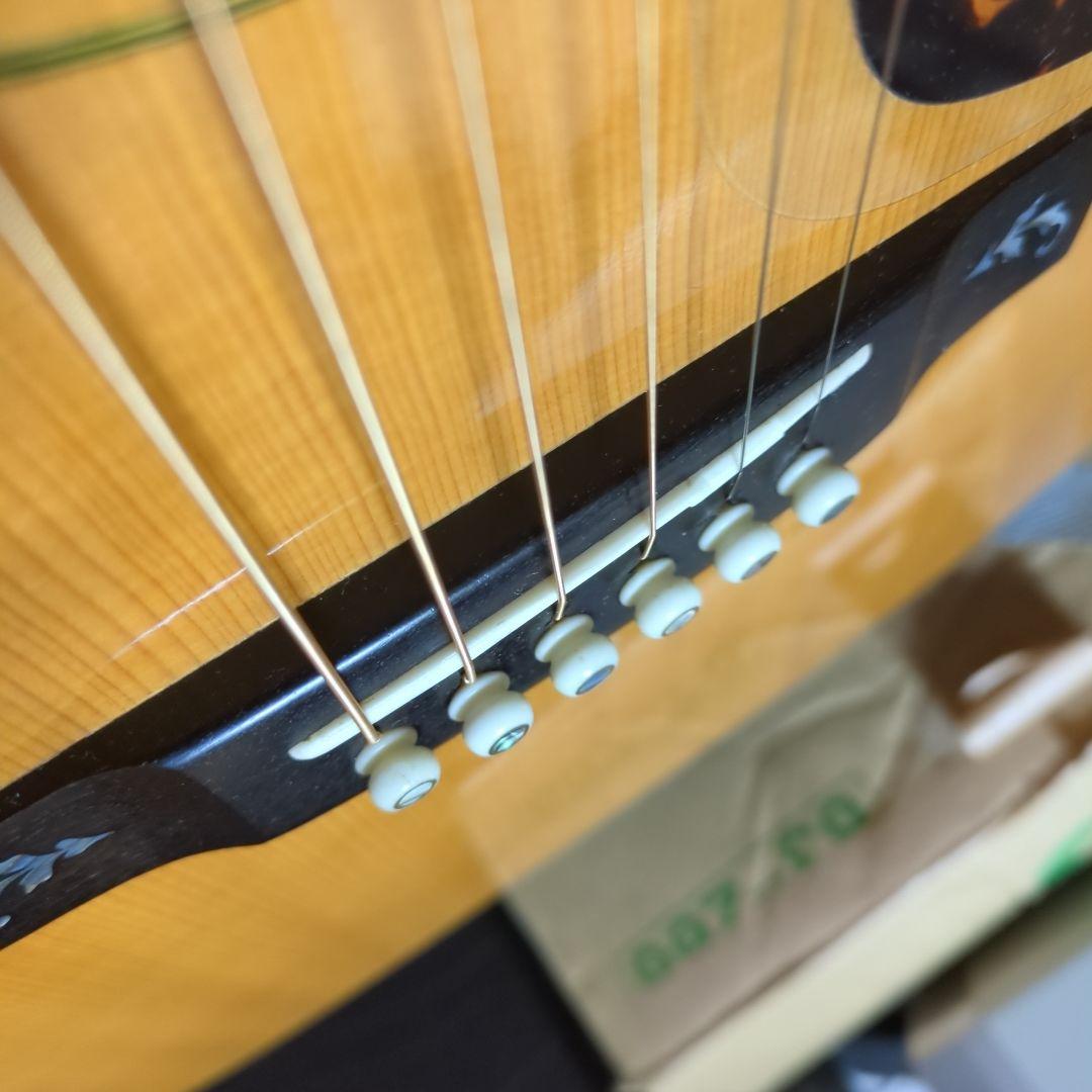 ギター Asturias ,Tree'of.Life.