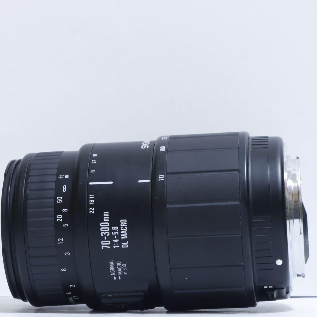 ☆ウタコ&ミミ☆WiFi☆ キャノン EOS Kiss X2、望遠レンズ