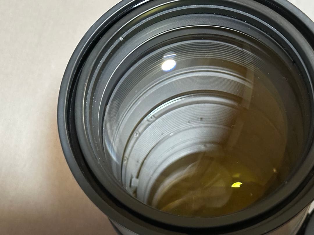 AF-S VR Nikkor 300mm f/2.8G IF-ED➕テレコン２個