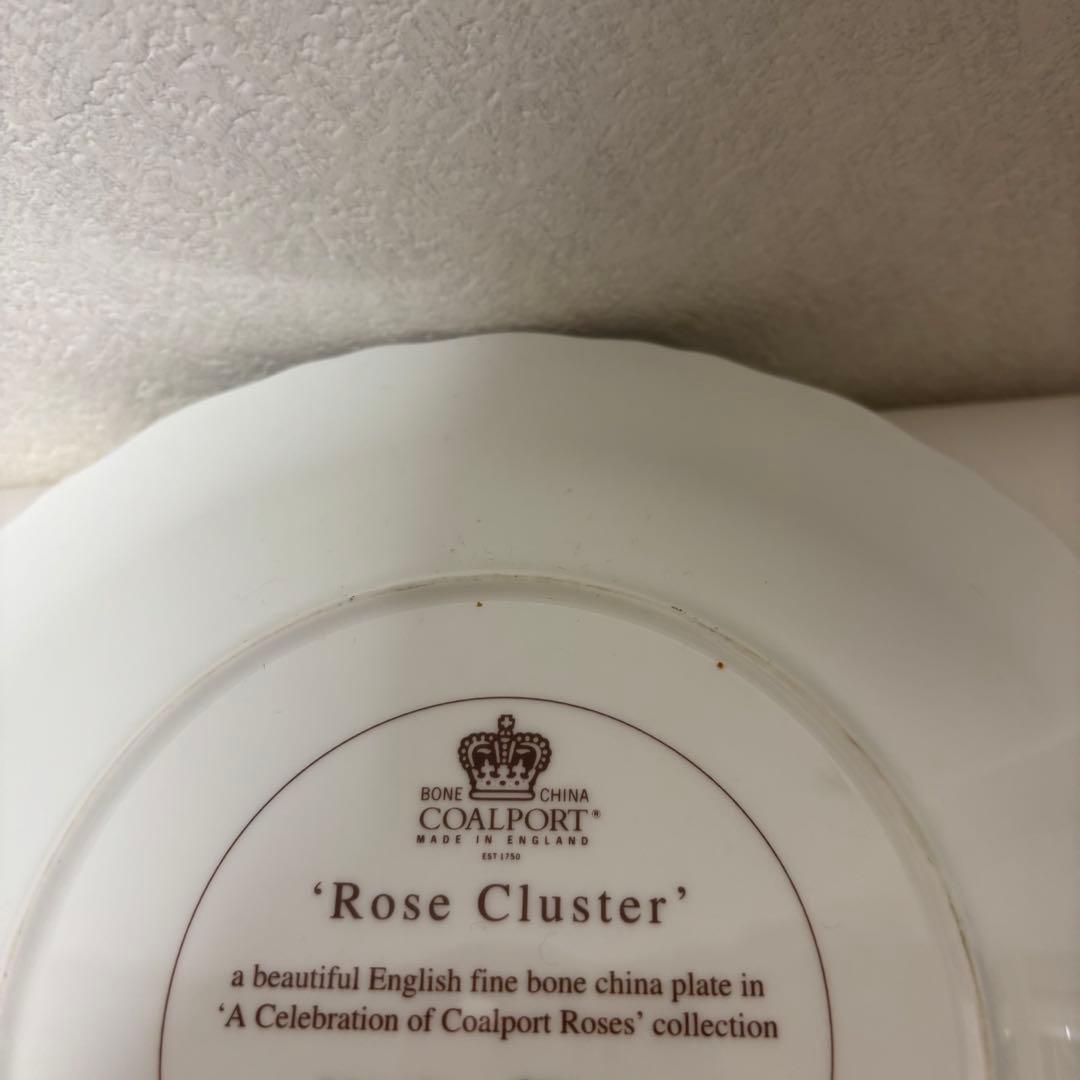 レア！　お皿　2枚セット