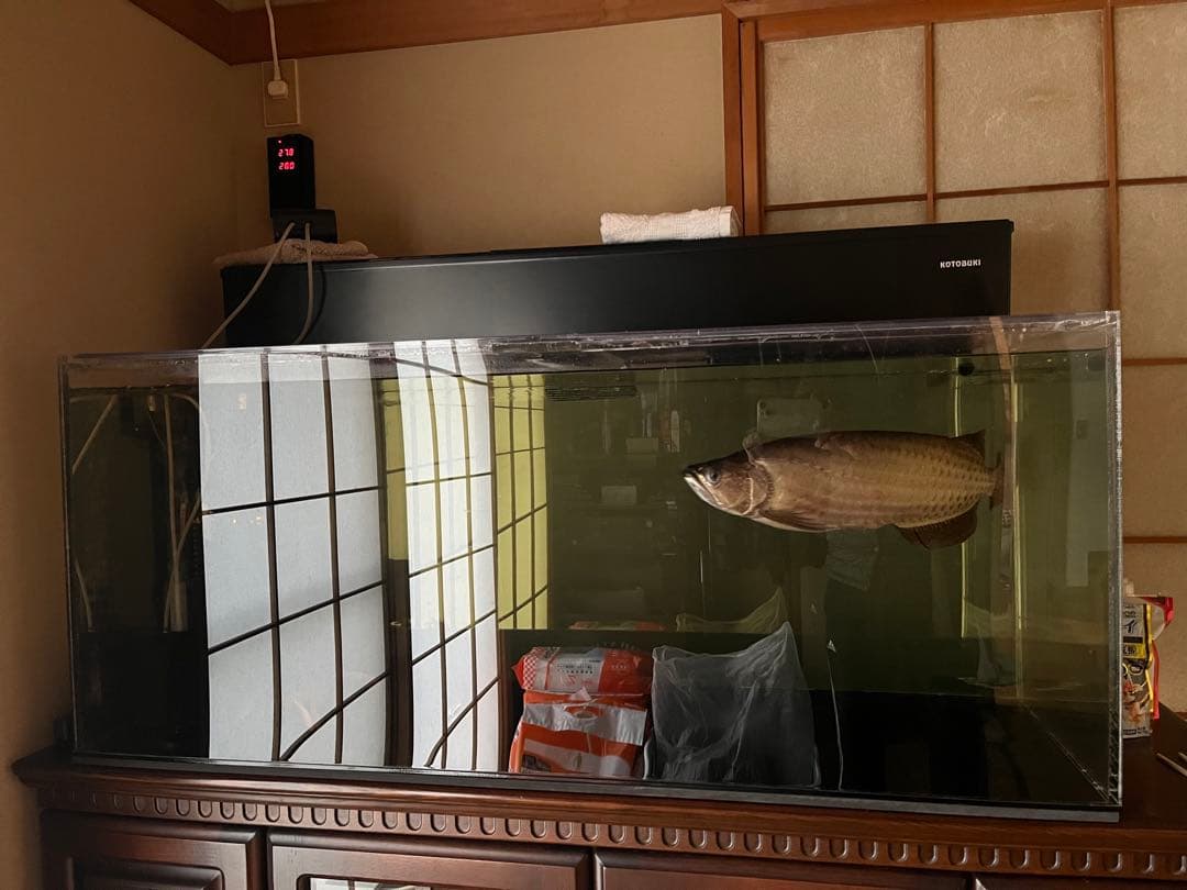 アクリル水槽 1200×500×500 上部濾過・交換ポンプ・蓋2枚！！