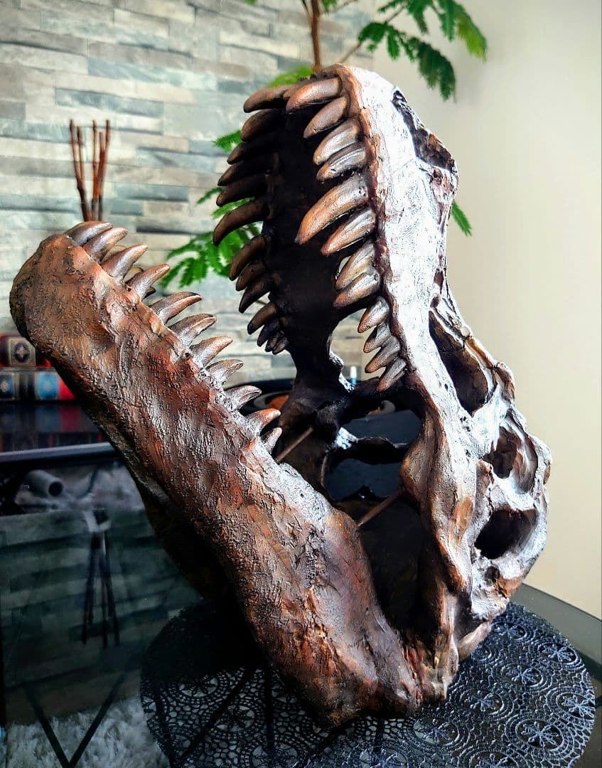 【2個セット】 ティラノサウルス トリケラトプス 頭骨 化石 レプリカ