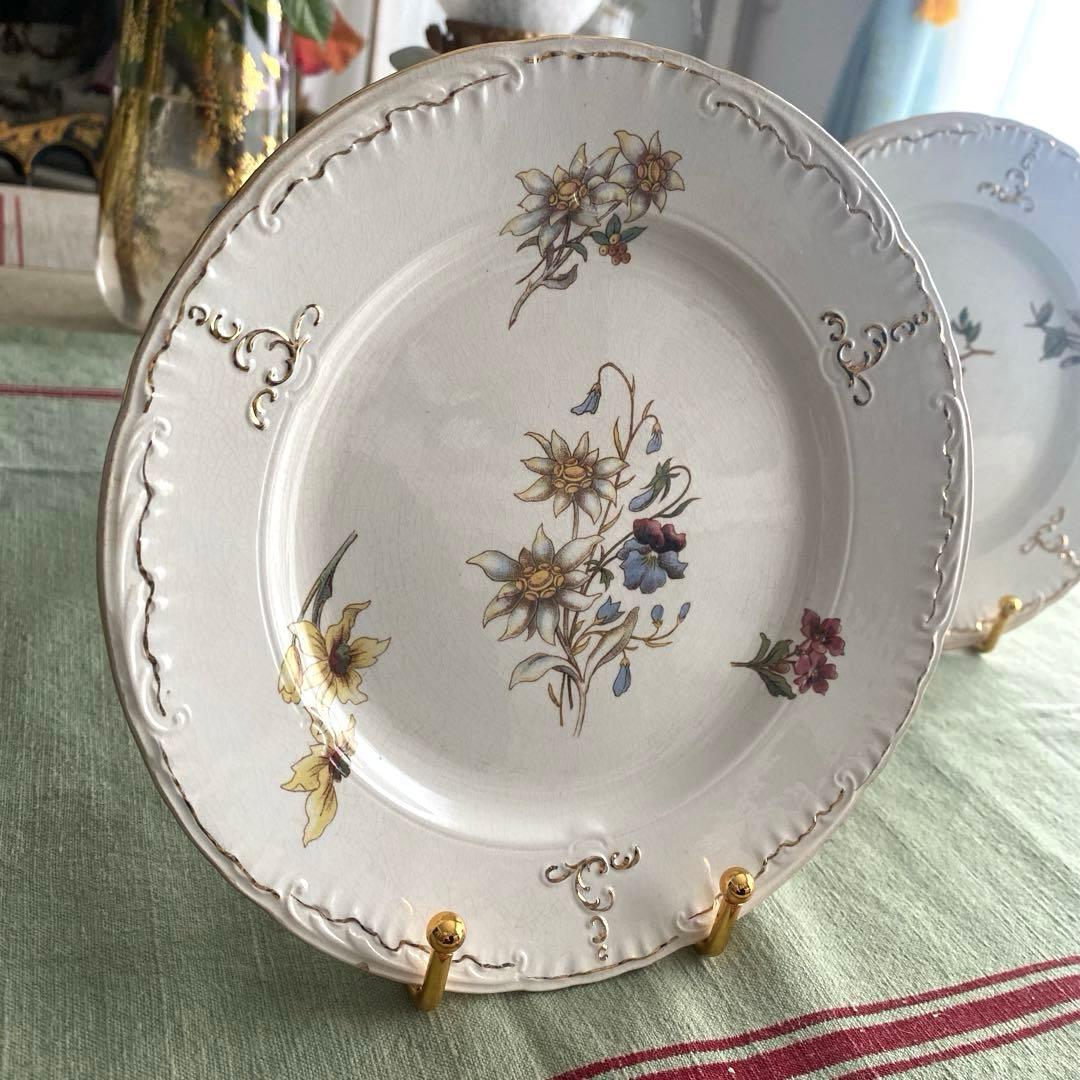 サルグミンヌRIGHI sarreguemines RIGHI セット