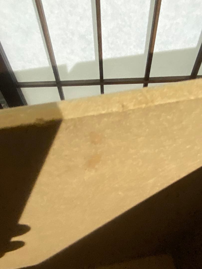 ✨完売品✨　salut!サリュ　WEB限定アイアンウッド5ドロワーマルチラック