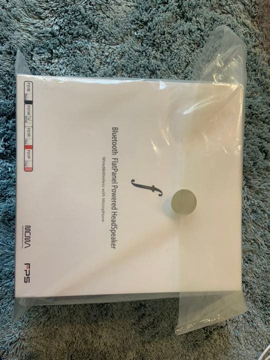 ヘッドホン FPS Bluetooth flatpanel head speaker