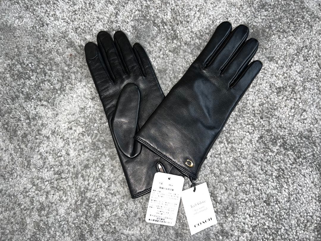スカルプテッド シグネチャー レザー テック グローブ