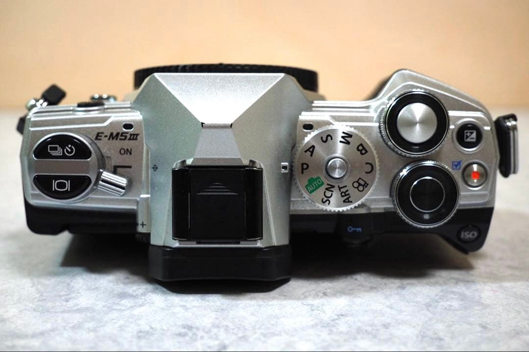 【値下げ】オリンパス E-M5 Mark III シルバー＋ECG-5