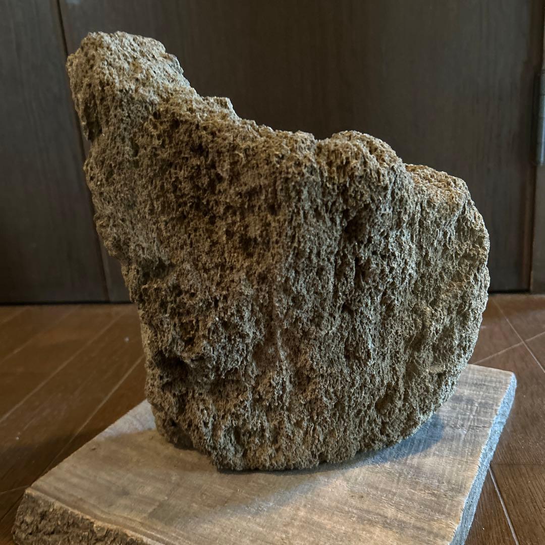 山渓鉢　雲山石　溶岩石　希少　一点モノ　苔　山野草　盆栽　多肉植物　小品盆栽
