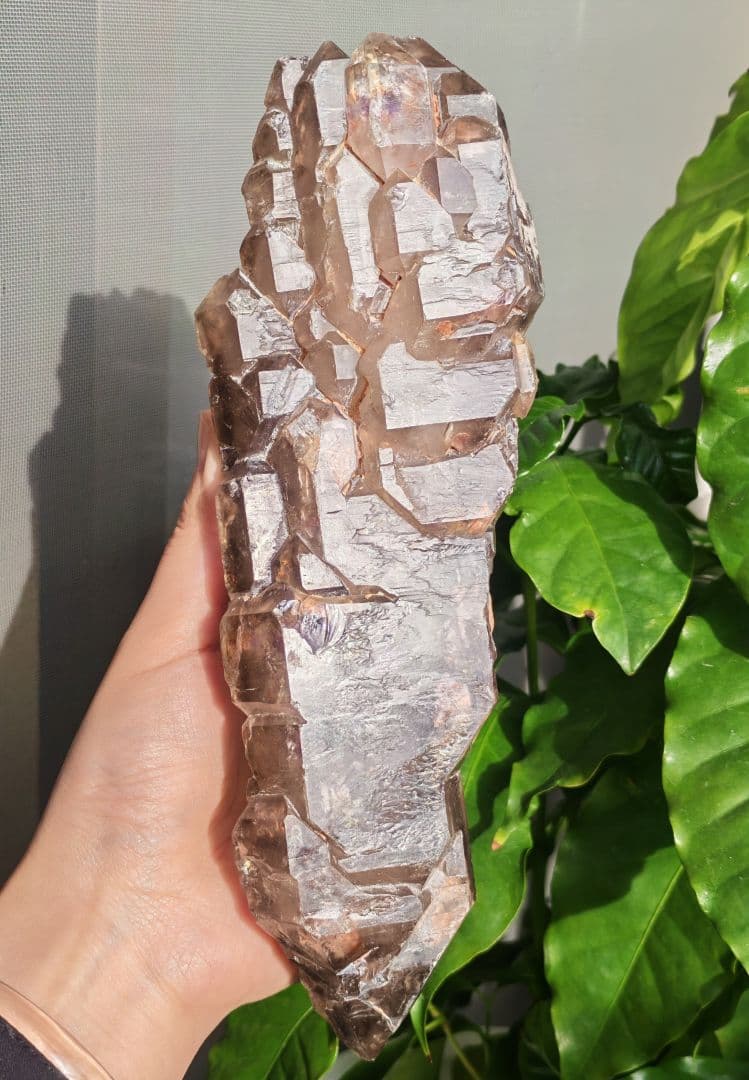 稀少　スモーキージャカレー水晶　ワニ水晶　骸骨水晶　原石　置物　天然石　標本