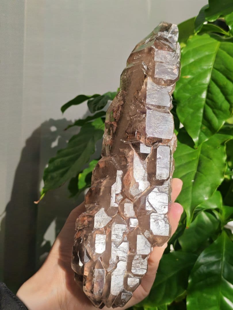 稀少　スモーキージャカレー水晶　ワニ水晶　骸骨水晶　原石　置物　天然石　標本