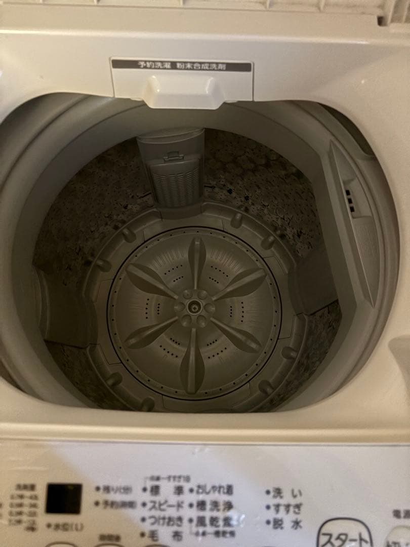 TOSHIBA 洗濯機(AW-45M9)　ステンレスドラム 4.5kg