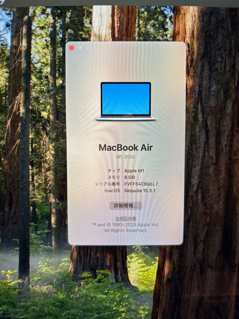 【美品】M1 MacBook Air 8GB/256GB 2020 シルバー 銀