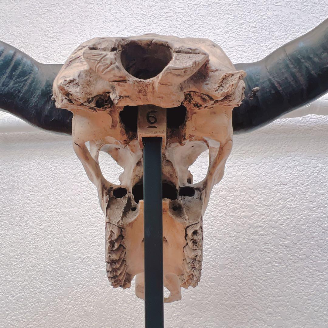 バッファロースカル　牛頭蓋骨　壁掛け彫像
