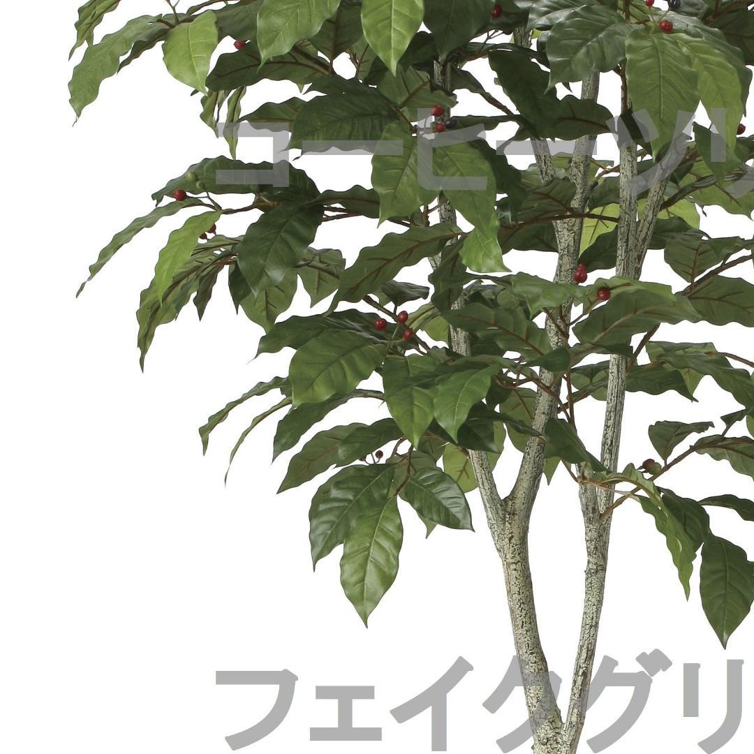 ◇日本製◇◇◇フェイクグリーン コーヒーツリー1.8 高さ1.8m 光の楽園