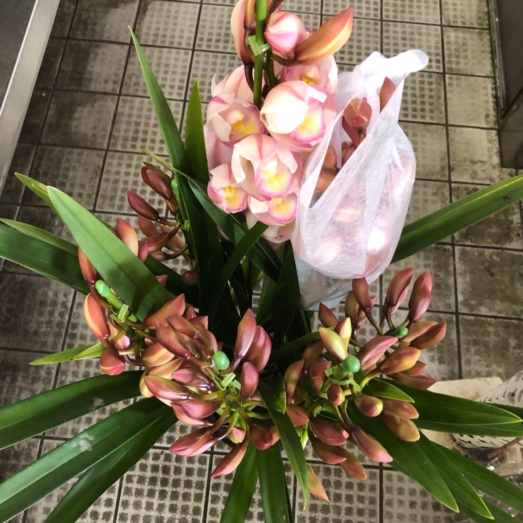 まさまる