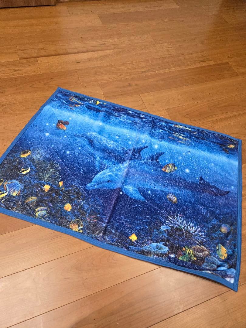 クリスチャン・ラッセン　ブランケット　2枚