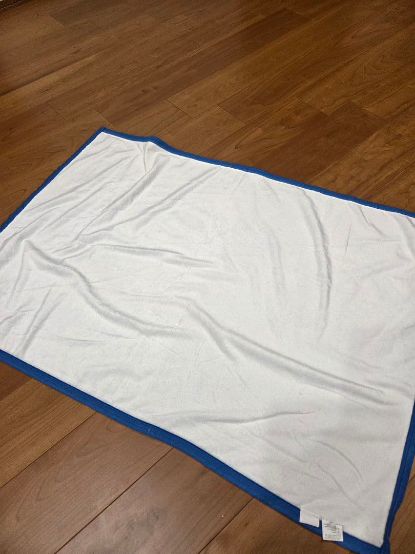 クリスチャン・ラッセン　ブランケット　2枚