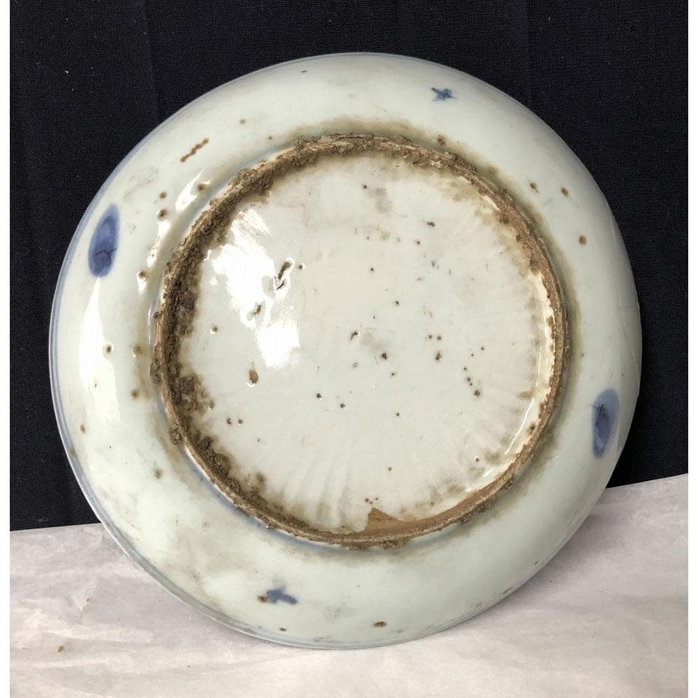 kxkl 　F375 古染付 皿 5枚 径17cm 壽紋 木箱入り