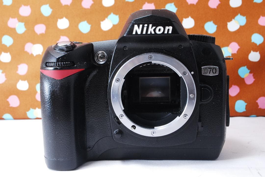 ✨お安くデビュー✨ショット数5056回✨Nikon D70 レンズセット