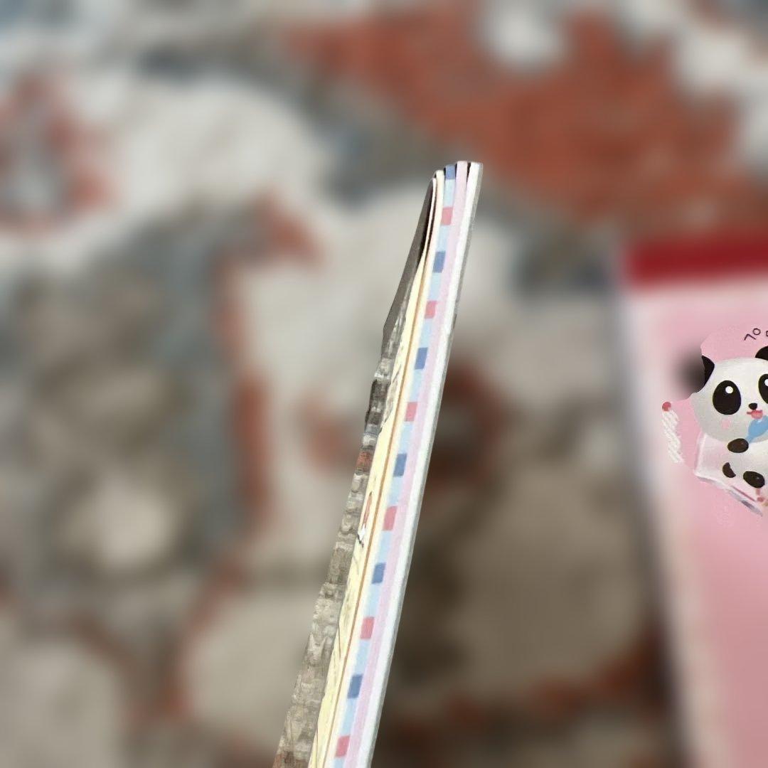 パンダメモ帳2個　まとめ売り