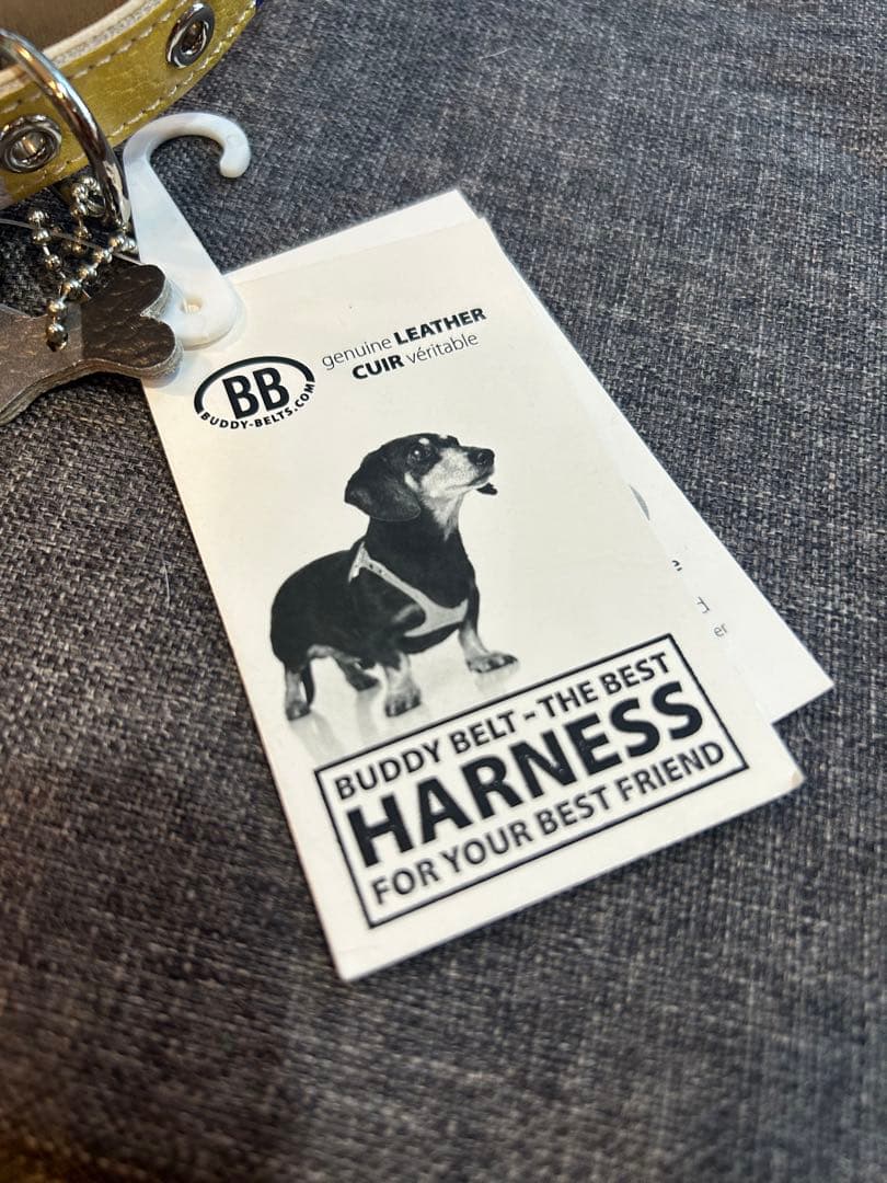 BB バディベルト　レザー ハーネス MOD サイズ4