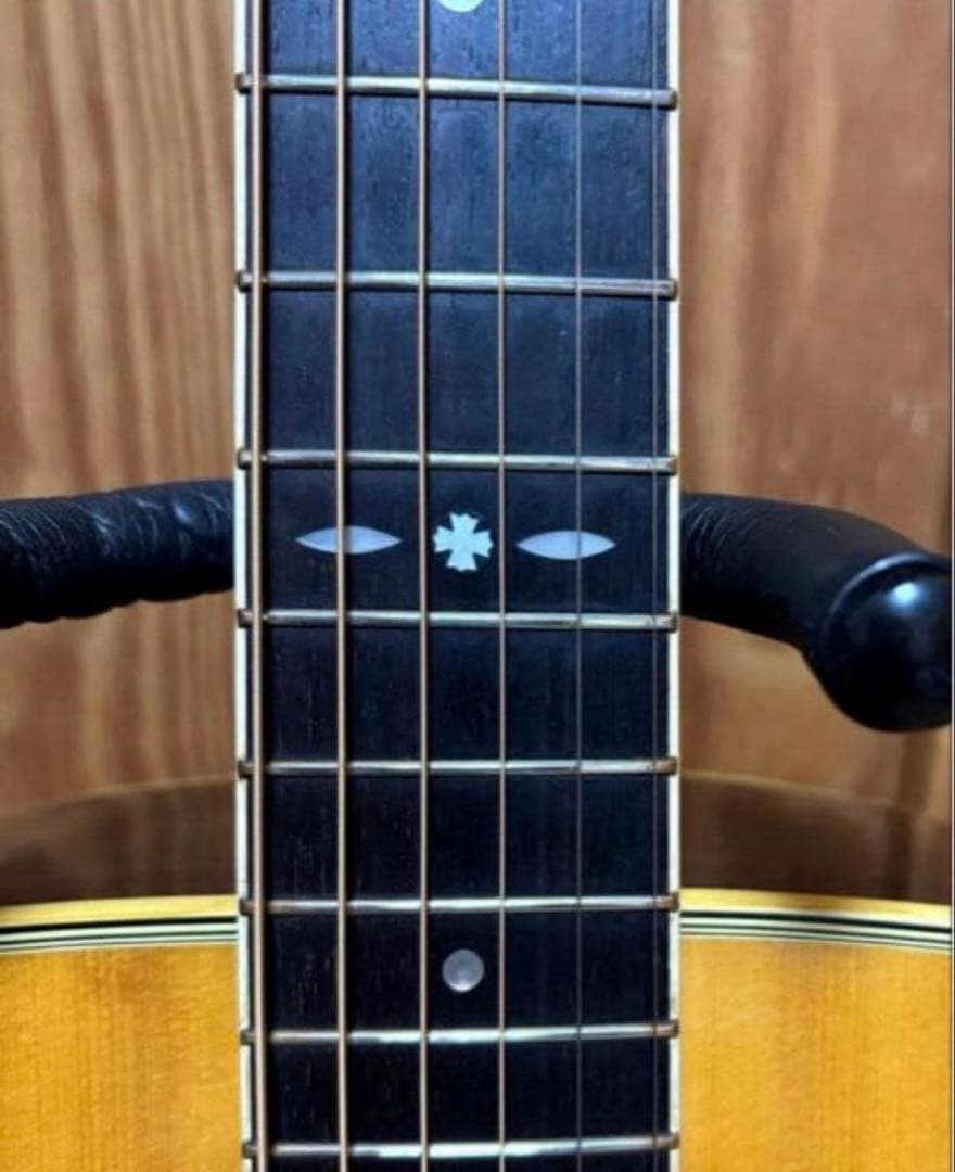 年末特価【大文字ロゴ】　Cat's Eyes CE-250 JV ハードケース