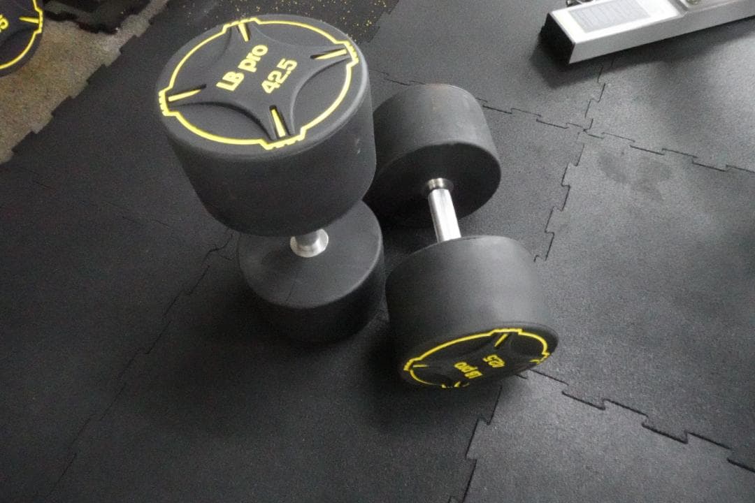 TPUダンベル　32.5kg 2個　計　75㎏