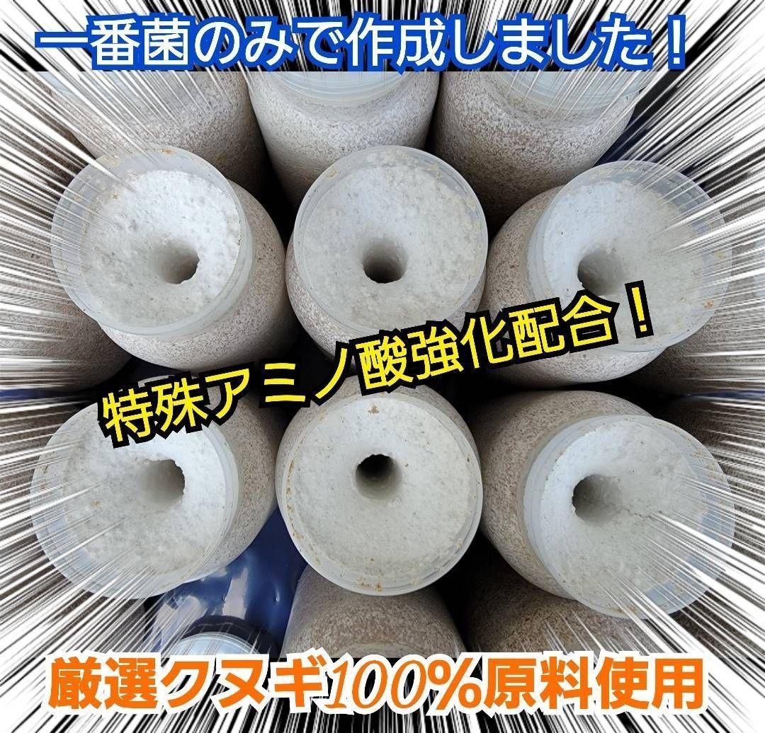 極上！カワラタケ菌糸瓶【8本】特殊アミノ酸強化配合！タランドゥス、オウゴンオニに