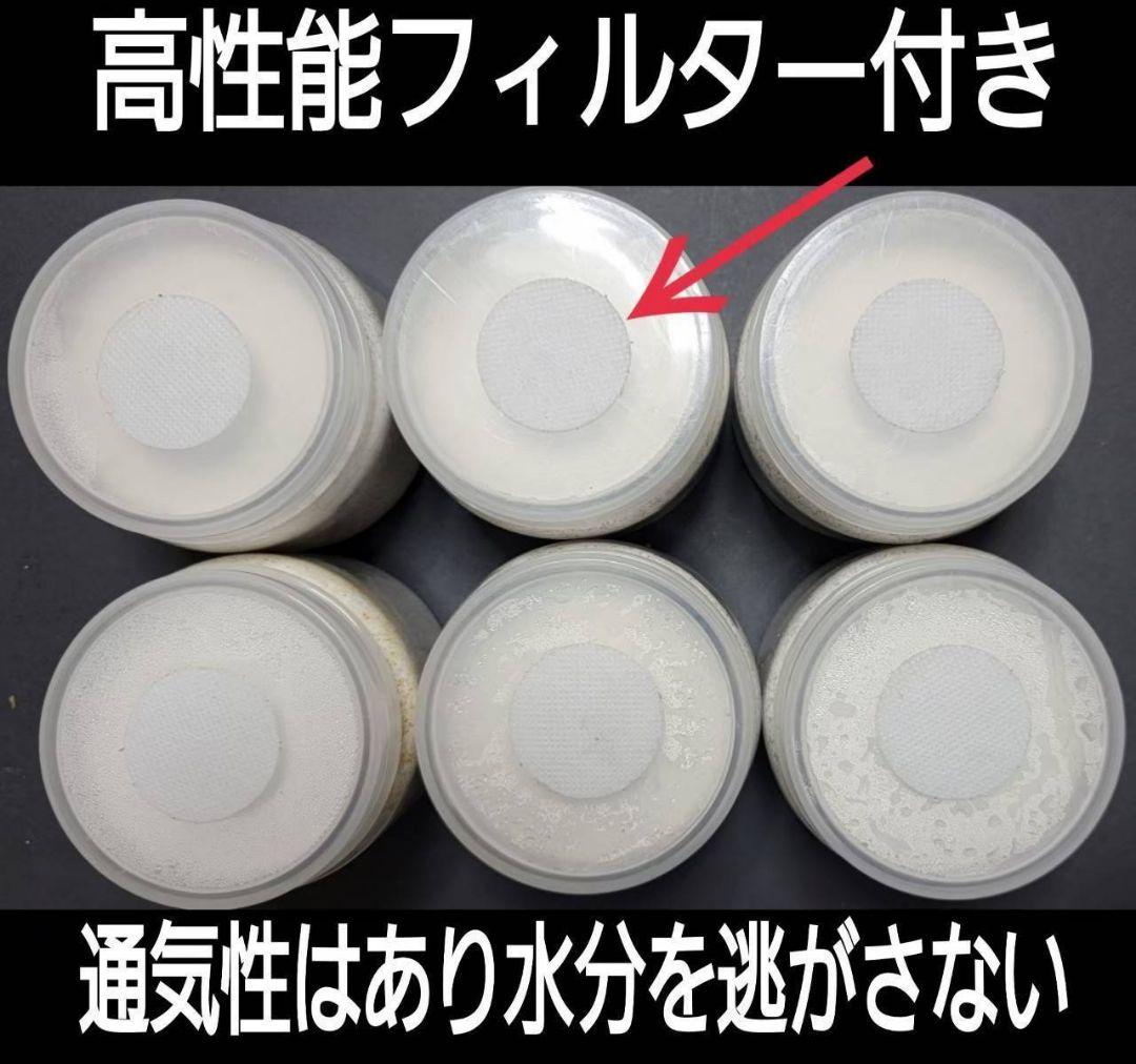 極上！カワラタケ菌糸瓶【8本】特殊アミノ酸強化配合！タランドゥス、オウゴンオニに